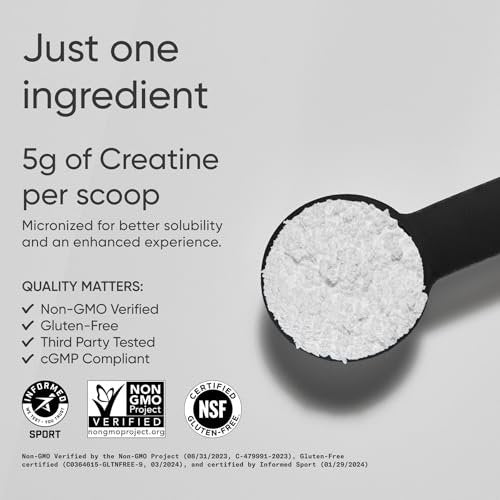 Sports Research Creatin-Monohydrat – 5 g mikronisiertes Creatin für Muskelaufbau, Leistungssteigerung und Erholung – 300 g (10,58 Unzen)
