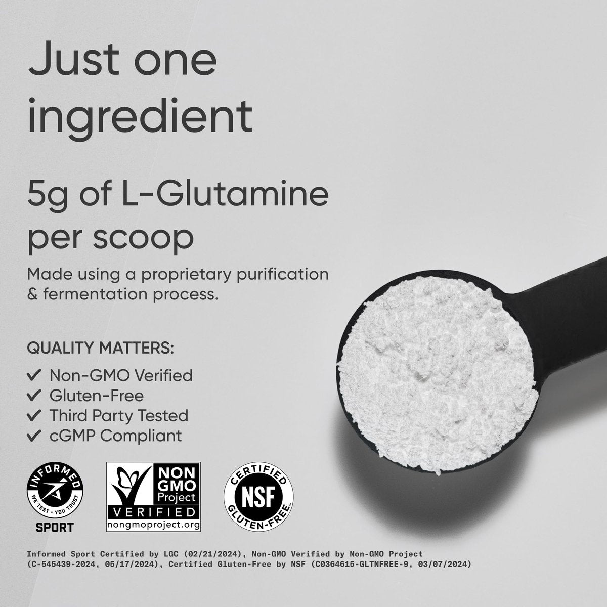 Sports Research L-Glutamin – Muskelregeneration, Immunsystem & Darmgesundheit – 5 g pro Portion – 300 g Pulver