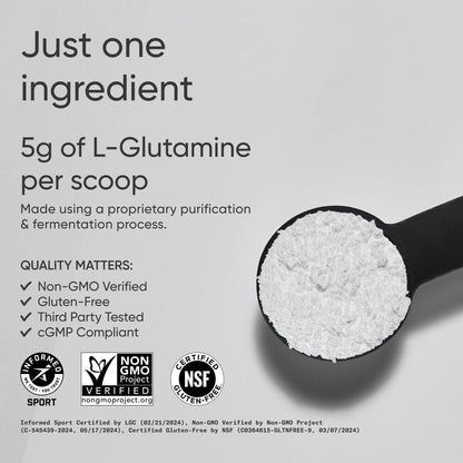 Sports Research L-Glutamin – Muskelregeneration, Immunsystem & Darmgesundheit – 5 g pro Portion – 300 g Pulver