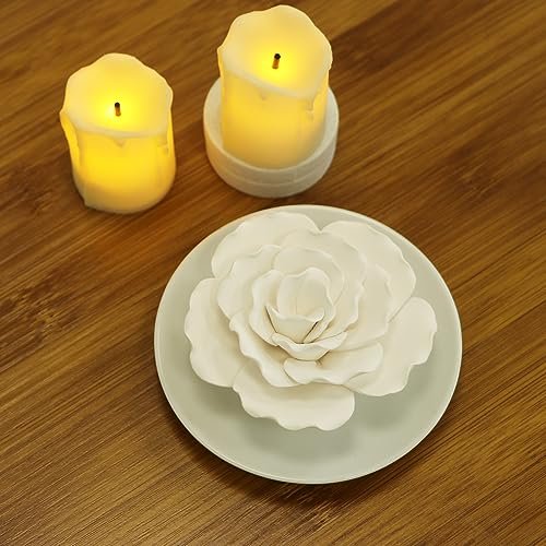 Passiver Diffusor für ätherische Öle – Keramik Diffusor ohne Strom für kleine Räume, Schreibtisch-Dekoration, Badezimmer (Weißer Hibiskus)
