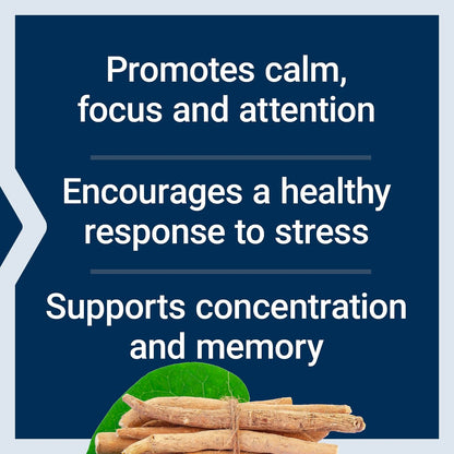 Life Extension Ashwagandha Plus Calm & Focus – Ashwagandha-Extrakt mit Spearmint-Extrakt für Konzentration, Aufmerksamkeit und Entspannung – 60 vegane Kapseln