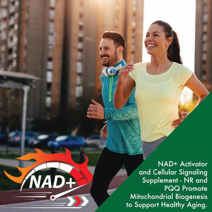 NAD+ Aktivator mit NR und PQQ | 300 mg Nicotinamid-Ribosid + 20 mg PQQ | Mitochondrien-Maximierer | Non-GMO | 60 Kapseln