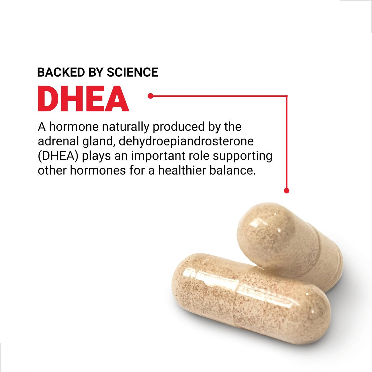 Force Factor DHEA 25mg – Hormonhaushalt & Stimmungsunterstützung für Frauen und Männer, vegan, nicht-GVO, 100 Kapseln