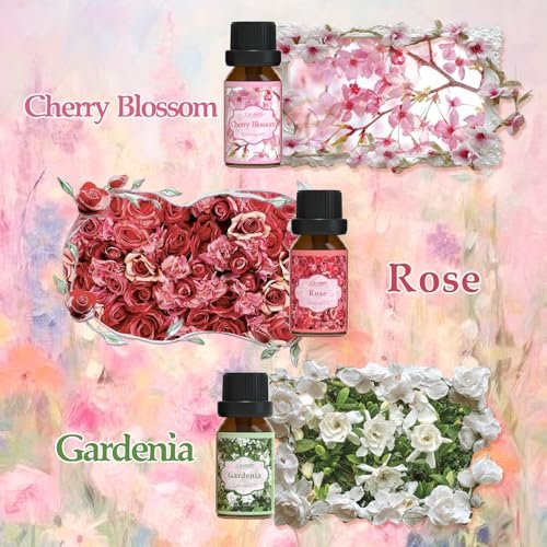 SALUBRITO Blumendüfte Set – 6x10ml Aromatherapie Öle für Diffuser & Kerzenherstellung: Jasmin, Lavendel, Rose, Gardenie, Kirschblüte, Geißblatt
