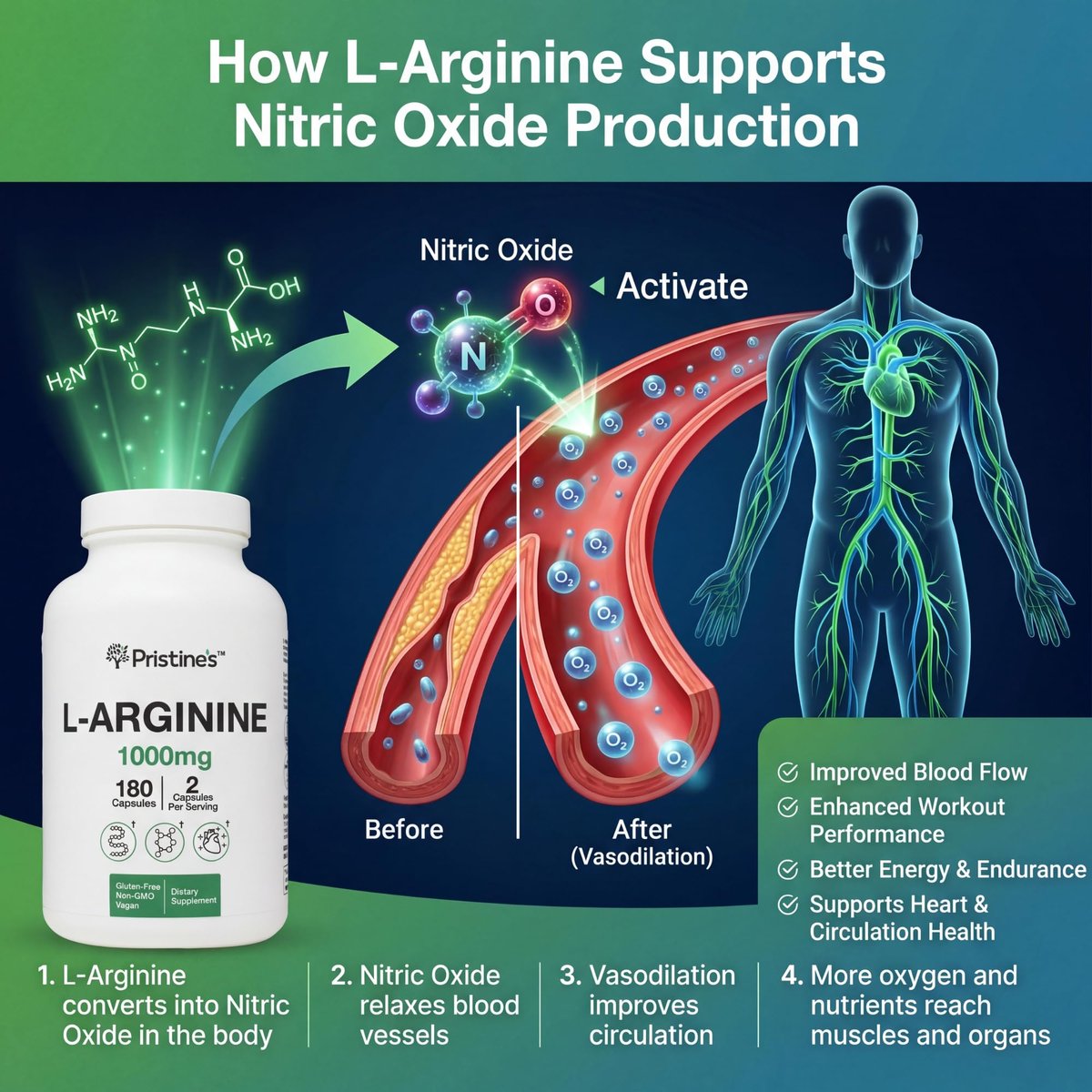 PRISTINE'S L-Arginin 1000mg Kapseln – 90-Tage-Vorrat für Männer & Frauen – Nitric-Oxid-Booster & Pre-Workout – Glasflasche