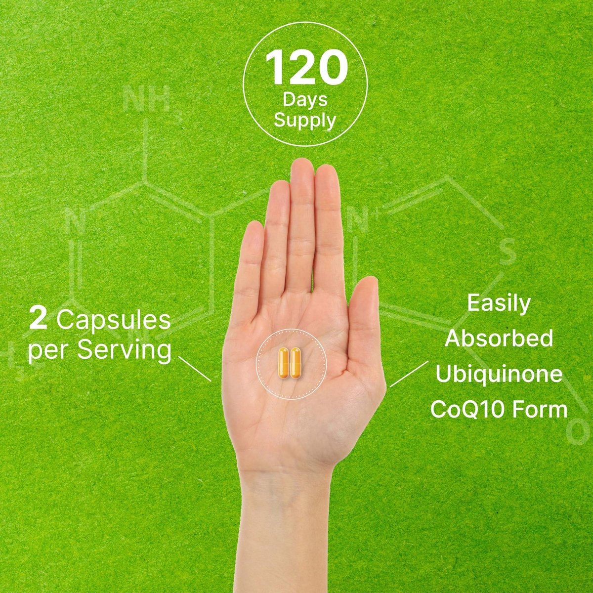 DEAL SUPPLEMENT CoQ10 100mg mit Omega 3 100mg, 240 Kapseln | Bioverfügbare Coenzym Q10 Formel | Non-GMO