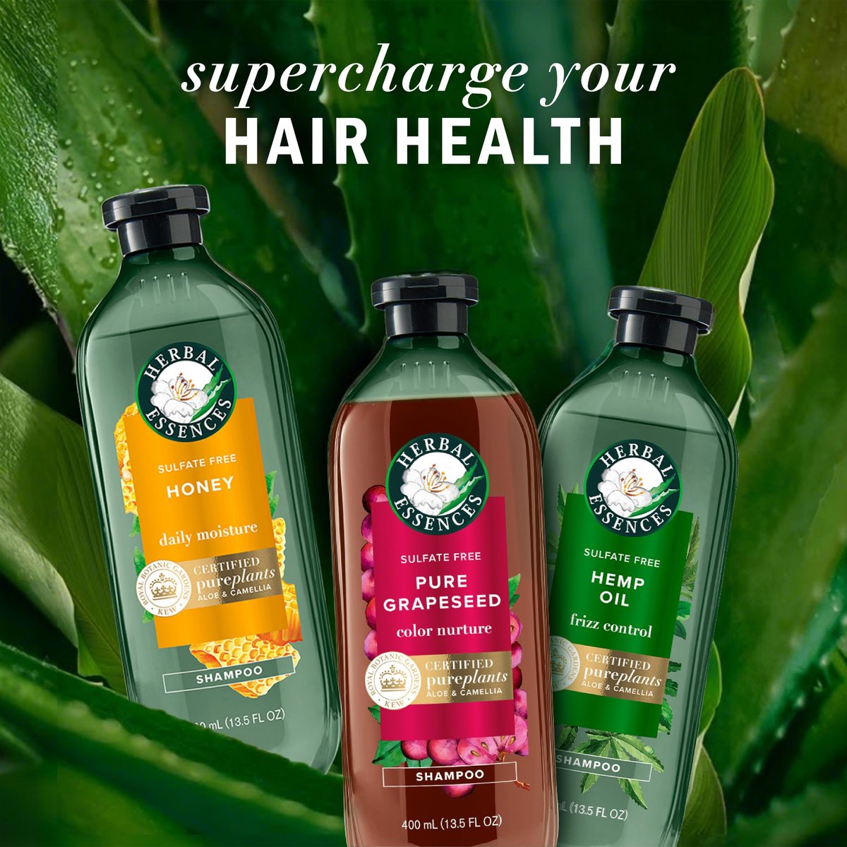 Herbal Essences Pure Traubenkernöl Farbschutz Sulfatfreier Conditioner, 400 ml