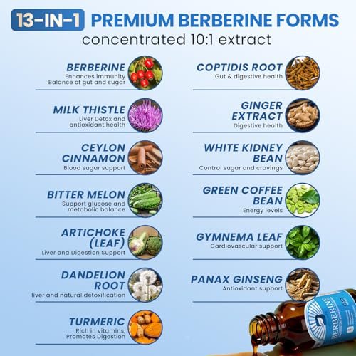 Berberin Komplex mit Ceylon Zimt – Berberin Flüssigtropfen mit Mariendistel, Kurkuma, Bittermelone – für Verdauung und Immunsystem – 60 ml