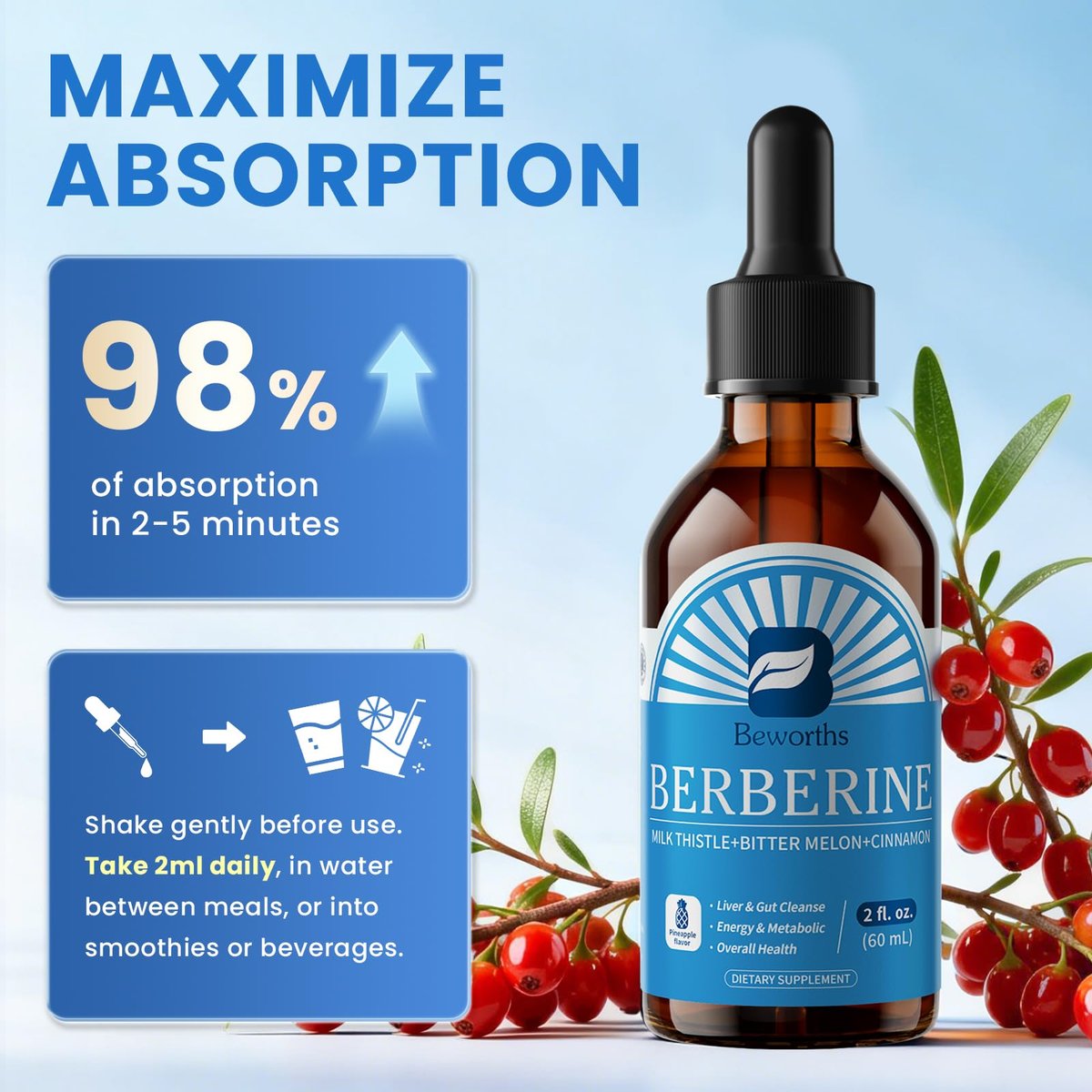 Berberin Komplex mit Ceylon Zimt – Berberin Flüssigtropfen mit Mariendistel, Kurkuma, Bittermelone – für Verdauung und Immunsystem – 60 ml