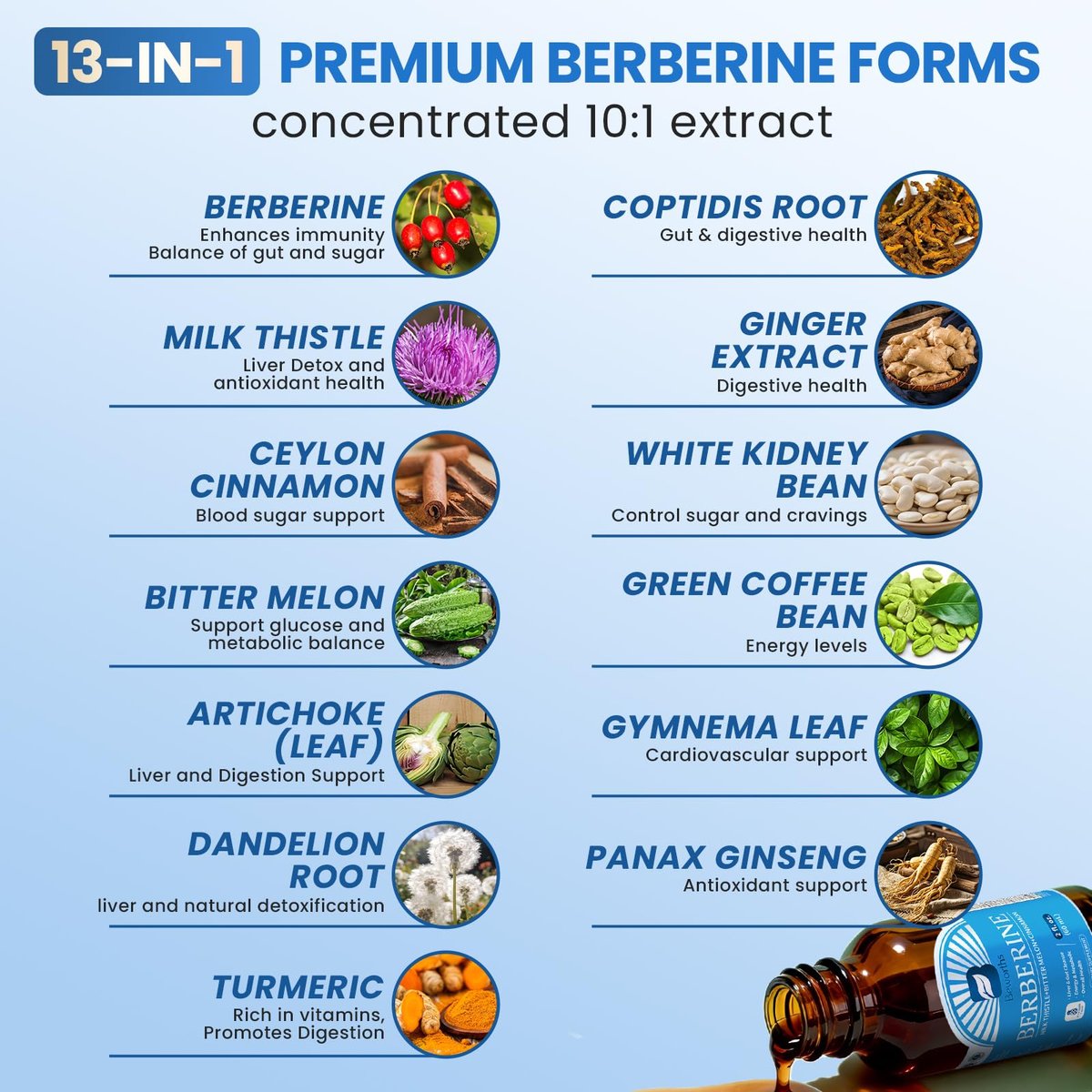 Berberin Komplex mit Ceylon Zimt – Berberin Flüssigtropfen mit Mariendistel, Kurkuma, Bittermelone – für Verdauung und Immunsystem – 60 ml