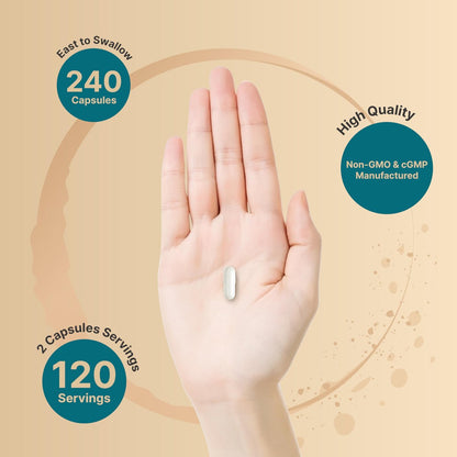 NatureBell Reines Magnesiumglycinat 1.000 mg, 240 vegane Kapseln | Chelat-Magnesium mit Vitamin C – Non-GMO, füllstofffrei, cGMP hergestellt