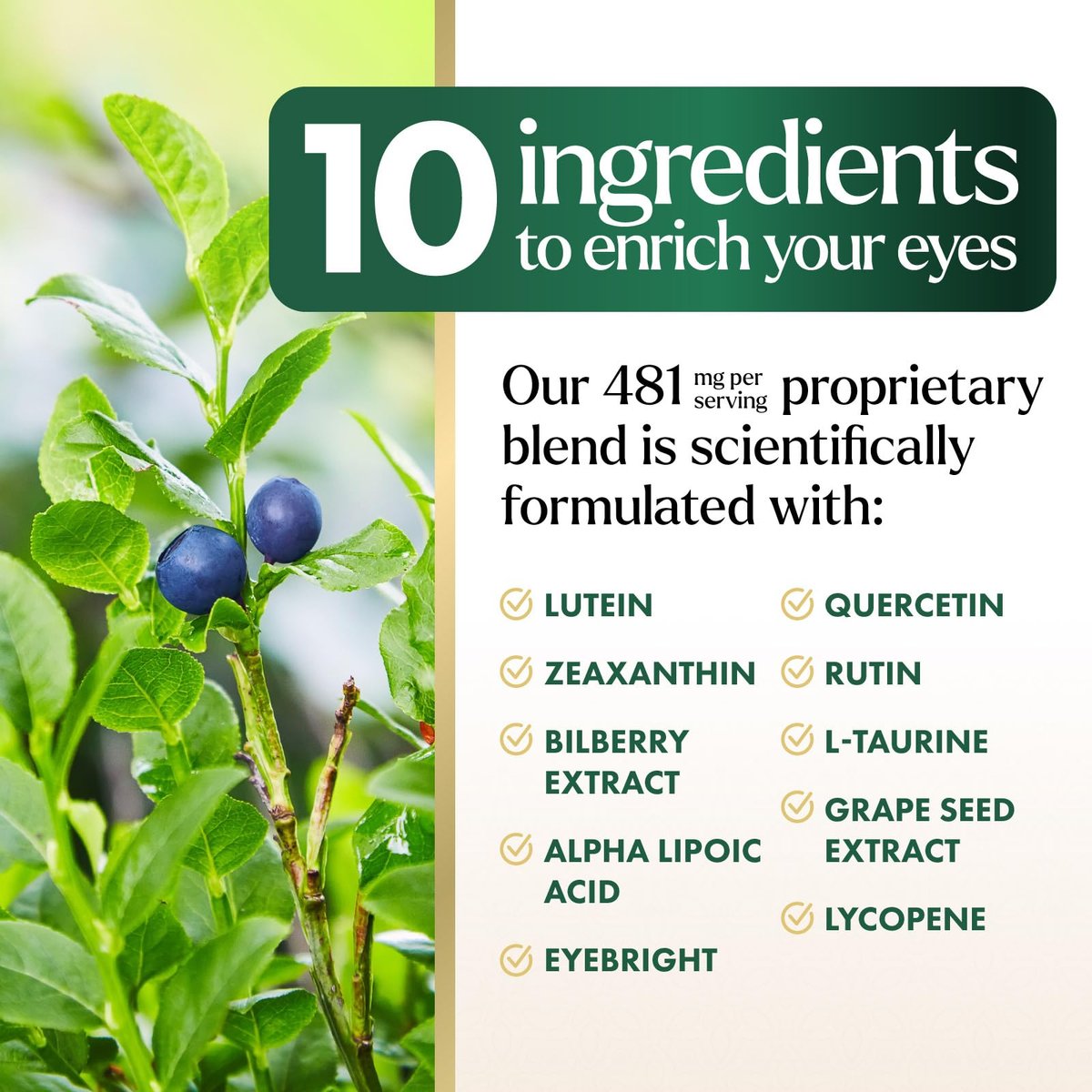 Nature's Peak 3-fach Stärke Augen Vitamin mit Lutein und Zeaxanthin - Unterstützt Sehkraft, Makulagesundheit & trockene Augen - mit Zink, Vitamin C, E & Mineralien - 120 Kapseln