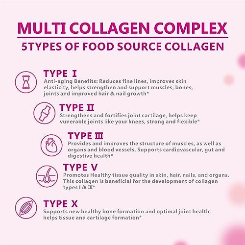 OMOGS Kollagen-Peptide-Pulver mit Präbiotika & Cranberry-Extrakt – Hydrolysiertes Kollagen für Haar, Haut, Nägel, Knochen & Verdauung – Grass-fed, Non-GMO – für Frauen & Männer