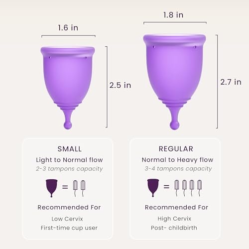 EcoBlossom Wiederverwendbare Menstruationstasse mit Aufbewahrungsbox – Medizinisches Silikon, 12 Stunden Schutz, Große Größe (2er-Pack)