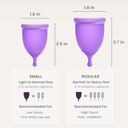 EcoBlossom Wiederverwendbare Menstruationstasse mit Aufbewahrungsbox – Medizinisches Silikon, 12 Stunden Schutz, Große Größe (2er-Pack)