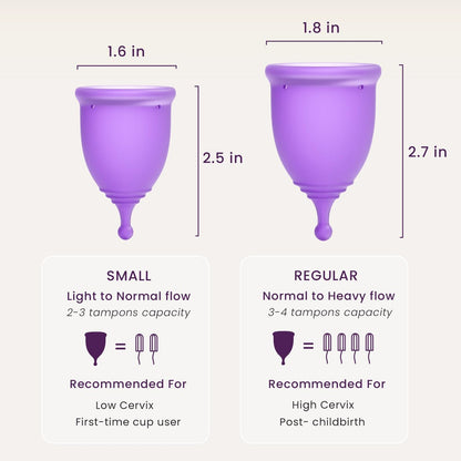 EcoBlossom Wiederverwendbare Menstruationstasse mit Aufbewahrungsbox – Medizinisches Silikon, 12 Stunden Schutz, Große Größe (2er-Pack)