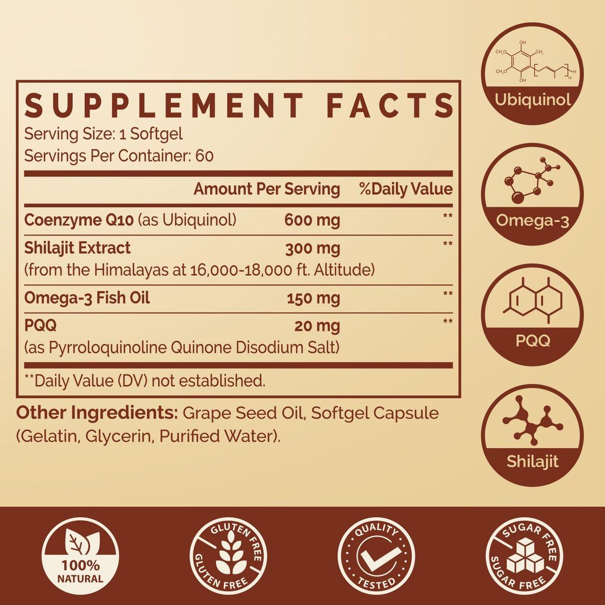 Ubiquinol CoQ10 600 mg Weichkapseln mit Omega-3, Shilajit und PQQ – Fortschrittliches Dual-Delivery Coenzym Q10 für Fruchtbarkeit, Antioxidantien, Herz, Gehirn und Energie, 60 Portionen