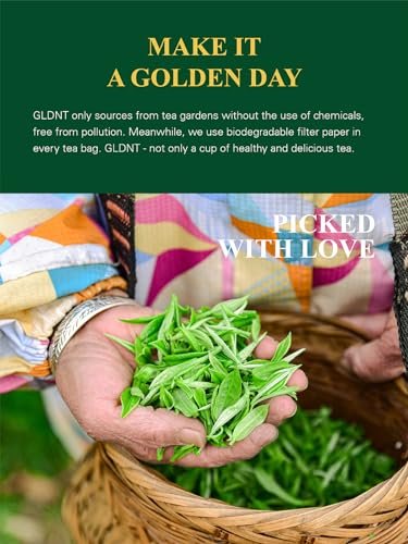 GLDNT Bio Grüner Tee Beutel, 100 Stück, Natürlicher Bio-Grüntee, Reich an Antioxidantien, Koffeinhaltig