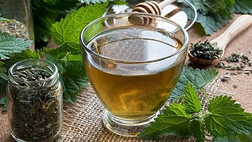Natürliche Brennnesselsamen (Urtica dioica) - 250g Premium Qualität