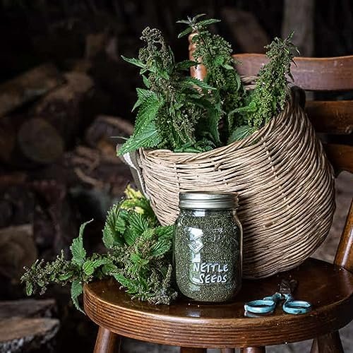 Natürliche Brennnesselsamen (Urtica dioica) - 250g Premium Qualität