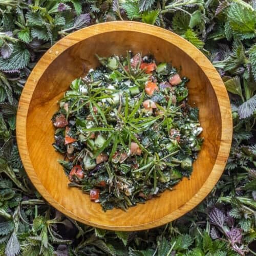 Natürliche Brennnesselsamen (Urtica dioica) - 250g Premium Qualität