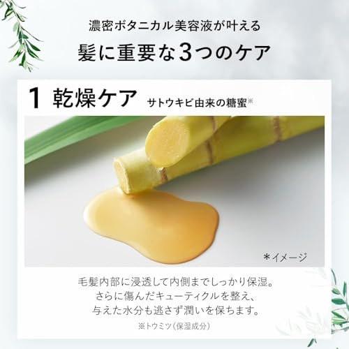 Botanist Natürlicher Shampoo Nachfüllbeutel für Frauen & Männer, Paraben- & Sulfatfrei mit Keratin, Protein, Hyaluronsäure & Kollagen, Anti-Frizz Shampoo aus Japan, 15,5 Fl Oz, Grüner Apfel & Rose, Glättend