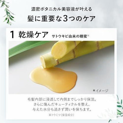 Botanist Natürlicher Shampoo Nachfüllbeutel für Frauen & Männer, Paraben- & Sulfatfrei mit Keratin, Protein, Hyaluronsäure & Kollagen, Anti-Frizz Shampoo aus Japan, 15,5 Fl Oz, Grüner Apfel & Rose, Glättend
