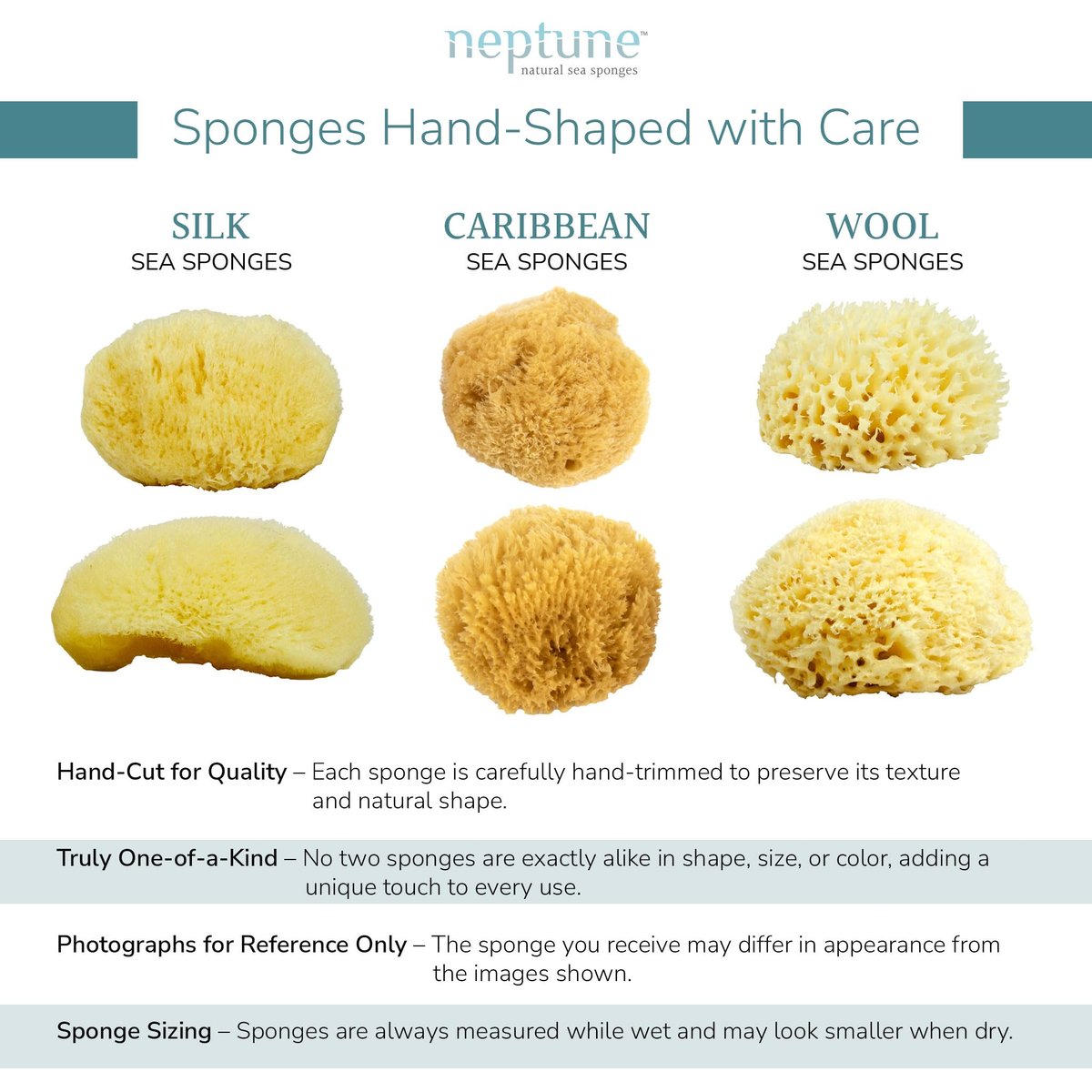 Neptune Karibischer Meerschwamm, handverlesen, extra groß, ca. 17-20 cm