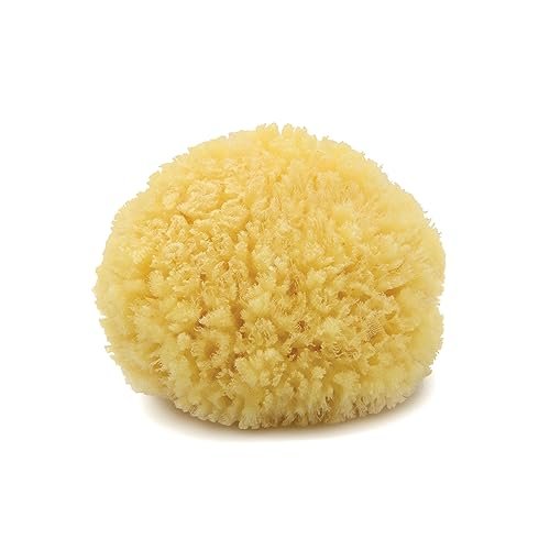 Neptune Karibischer Meeresschwamm, Medium (ca. 5-6 Zoll), handverarbeitet, natürlicher & umweltfreundlicher Badeschwamm