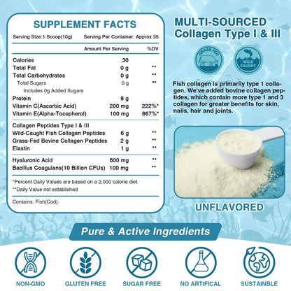 NATURE TARGET Marine Collagen Peptides Pulver – Typ I & III Kollagen mit Probiotika, Vitamin C & Hyaluronsäure für Haut, Haare, Nägel, aus Wildfang-Fisch & Weide-Rind, 35 Portionen