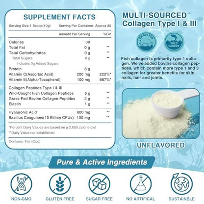 NATURE TARGET Marine Collagen Peptides Pulver – Typ I & III Kollagen mit Probiotika, Vitamin C & Hyaluronsäure für Haut, Haare, Nägel, aus Wildfang-Fisch & Weide-Rind, 35 Portionen