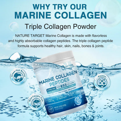 NATURE TARGET Marine Collagen Peptides Pulver – Typ I & III Kollagen mit Probiotika, Vitamin C & Hyaluronsäure für Haut, Haare, Nägel, aus Wildfang-Fisch & Weide-Rind, 35 Portionen