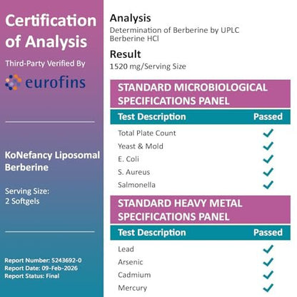 KoNefancy Berberin HCL Kapseln 1500mg – Liposomale Berberin Kapseln mit hoher Bioverfügbarkeit, GLP-1 Unterstützung und AMPK-Aktivator, Laborgeprüft, Nicht-GVO, Zuckerfrei, 60 Weichkapseln