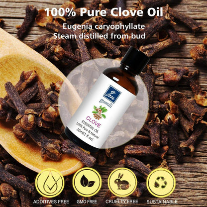 GM Gumili Nelkenöl 30 ml – 100% reines Knospenöl für Zähne, Zahnfleisch, Aromatherapie, Haut & Haare
