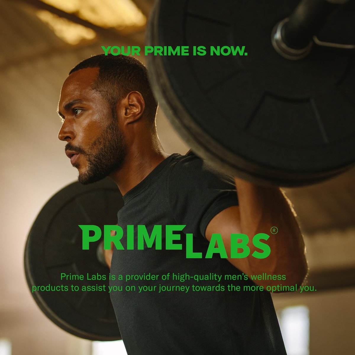 Prime Labs Tribulus Terrestris für Männer 1300 mg - Angereichert mit 95 % Saponinen - Energie, Vitalität, Kraft - 120 Kapseln