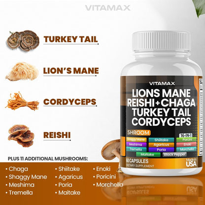 Vitamax Löwenmähne, Truthahnschwanz, Chaga & Reishi, Cordyceps Shiitake, Weiße Ulme, Königstrumpet, Nameko, Austernpilz, Steinpilz – Fokus & Energie – 60 Kapseln (1 Packung), Hergestellt in den USA