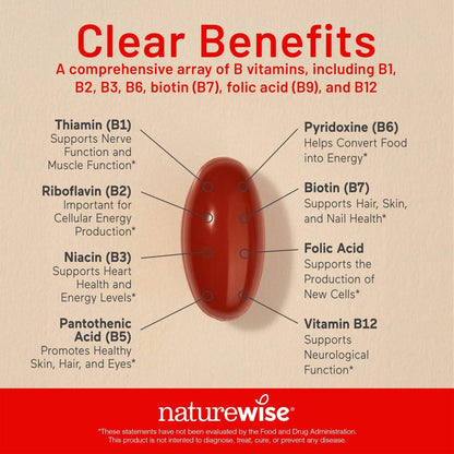NatureWise Vitamin B Komplex für Frauen und Männer – mit Folsäure, Biotin, B1, B2, B3, B6, B12 – Unterstützt Zellenergie und geistige Klarheit – Gluten- & laktosefrei, ohne Gentechnik – 60 Softgels (2-Monats-Vorrat)