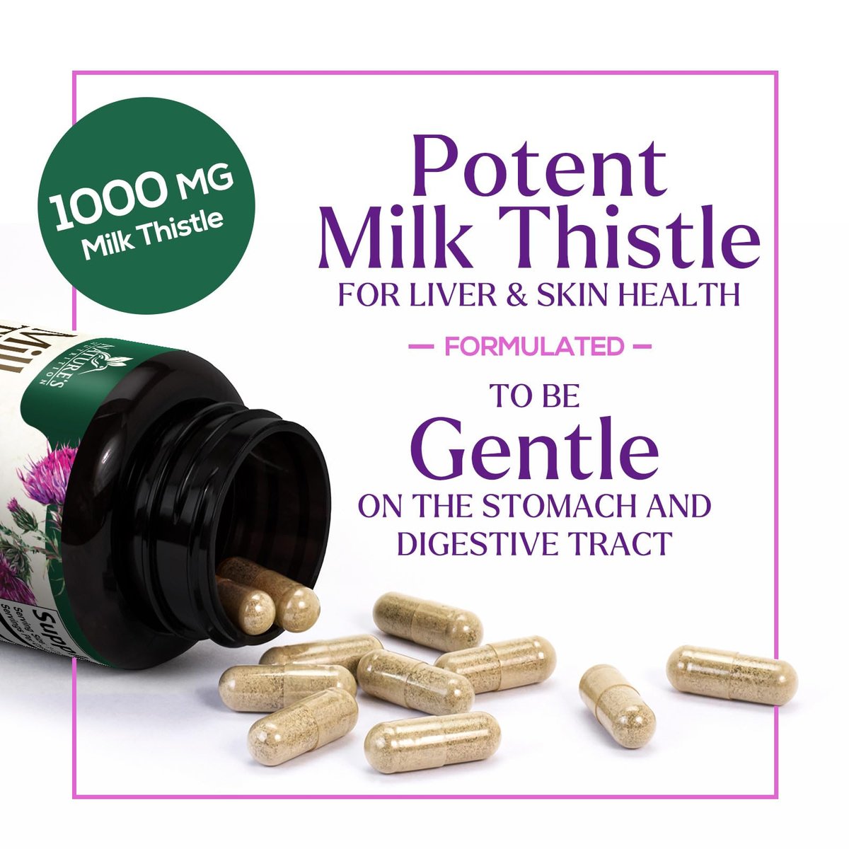 Mariendistel-Extrakt – Leberreinigung, Entgiftung & Reparatur – mit Silymarin, Mariendistel & Löwenzahn – natürliches Kräuterpräparat für die Lebergesundheit – Hergestellt in den USA – 60 Kapseln
