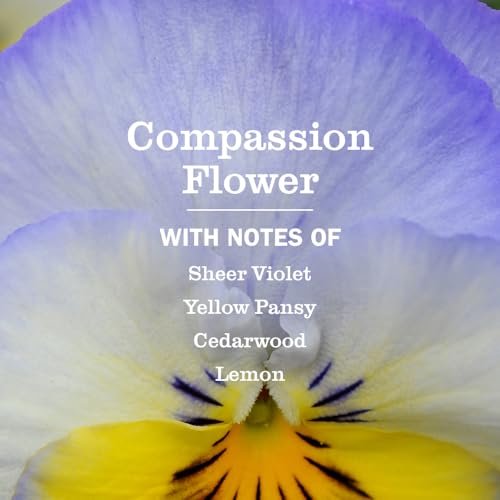 MRS. MEYER'S CLEAN DAY Handseife Nachfüllpackung, Compassion Flower Duft, 33 Fl Oz Flasche