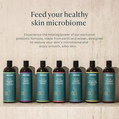 Aleavia Body Cleanse – Organische & natürliche präbiotische Körperwäsche mit reinen ätherischen Ölen – Cranberry-Duft – Pflegen Sie Ihr Hautmikrobiom – 473 ml