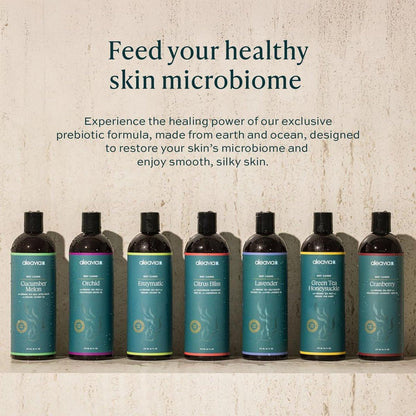 Aleavia Body Cleanse – Organische & natürliche präbiotische Körperwäsche mit reinen ätherischen Ölen – Cranberry-Duft – Pflegen Sie Ihr Hautmikrobiom – 473 ml
