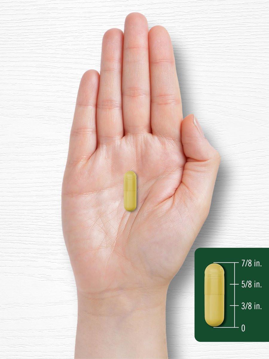 Carlyle Berberin HCL Nahrungsergänzungsmittel | 500.000 mcg | 60 Kapseln | Vegetarisch, Nicht-GVO, Glutenfrei