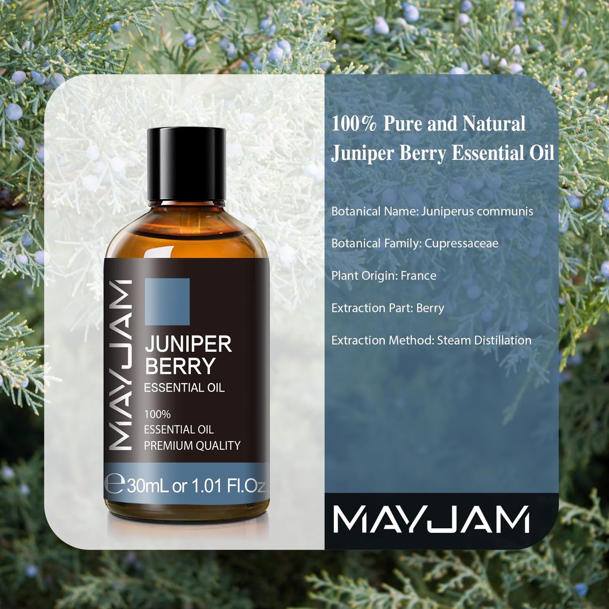 MAYJAM Wacholderbeeren Ätherisches Öl 30 ml – 100% reines Wacholderöl für Aromatherapie, Massage, Diffuser und Seifenherstellung