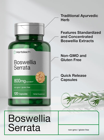 Horbäach Boswellia Serrata Extrakt Kapseln | 120 Stück | Pflanzliches Nahrungsergänzungsmittel | Non GVO, Glutenfrei