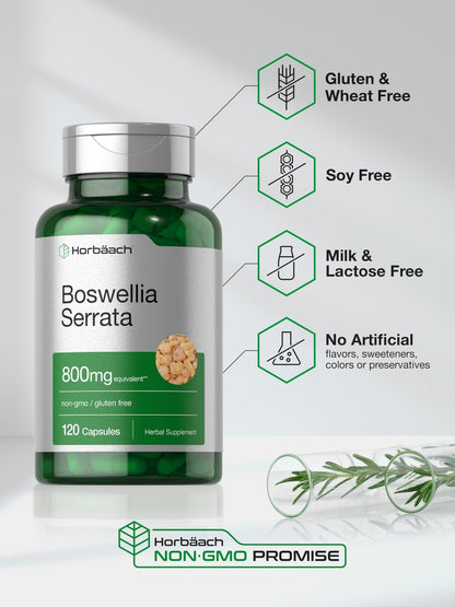 Horbäach Boswellia Serrata Extrakt Kapseln | 120 Stück | Pflanzliches Nahrungsergänzungsmittel | Non GVO, Glutenfrei