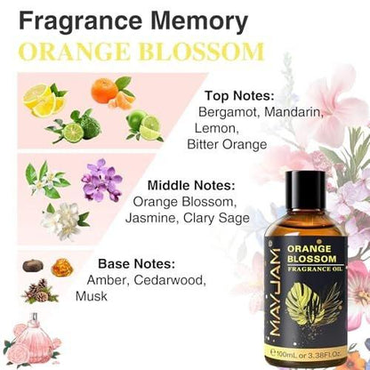 MAYJAM Orangenblüten Duftöl 100ml/3,38fl.oz mit Glaspipette, langanhaltendes Aromaöl für Diffuser, Seifen- und Kerzenherstellung