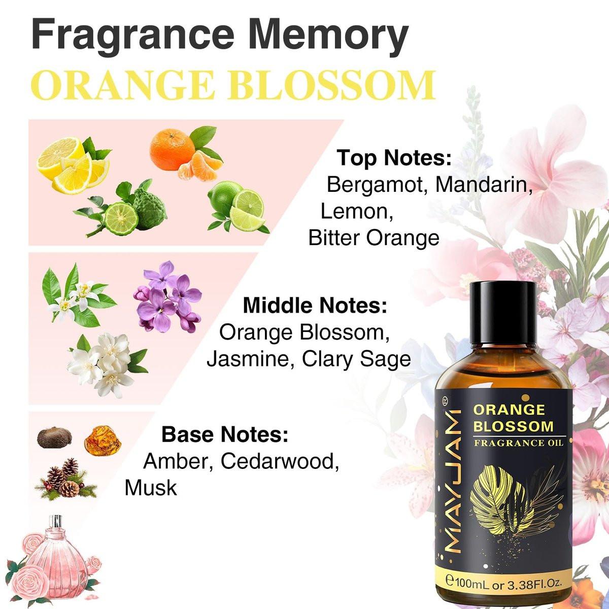 MAYJAM Orangenblüten Duftöl 100ml/3,38fl.oz mit Glaspipette, langanhaltendes Aromaöl für Diffuser, Seifen- und Kerzenherstellung