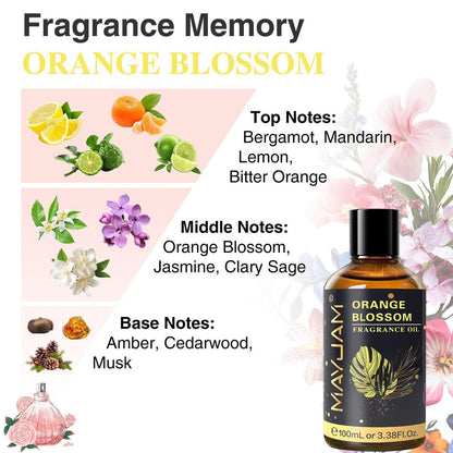 MAYJAM Orangenblüten Duftöl 100ml/3,38fl.oz mit Glaspipette, langanhaltendes Aromaöl für Diffuser, Seifen- und Kerzenherstellung