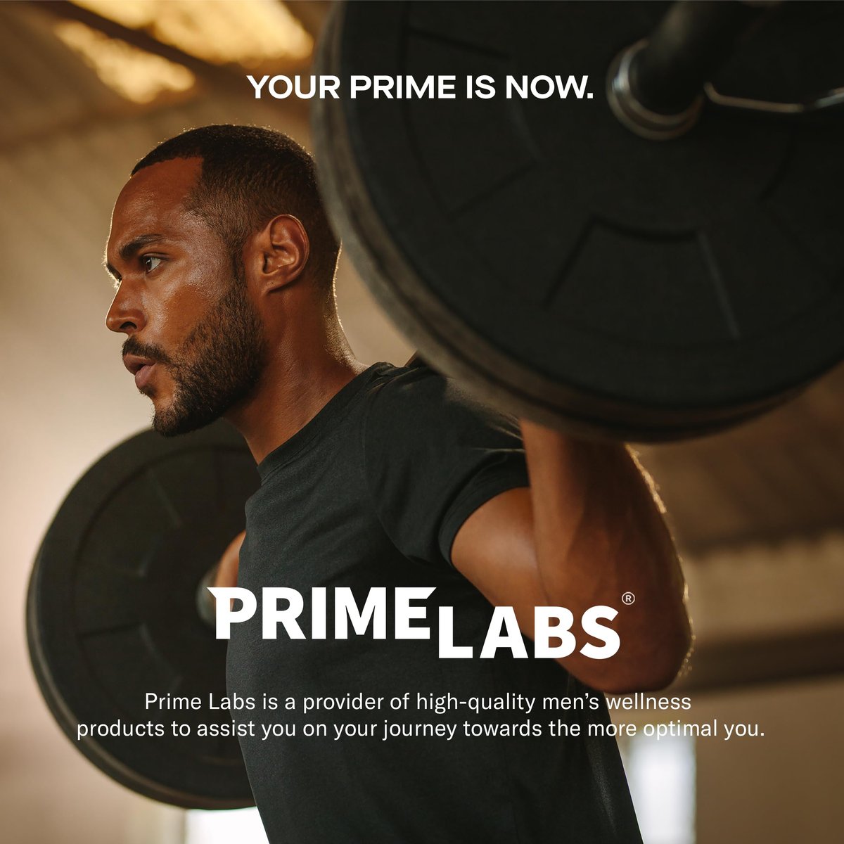 Prime Labs Tongkat Ali für Männer – Plus Bio Maca-Wurzel und Tribulus Terrestris – Leistung, Vitalität, Energie – 60 Kapseln