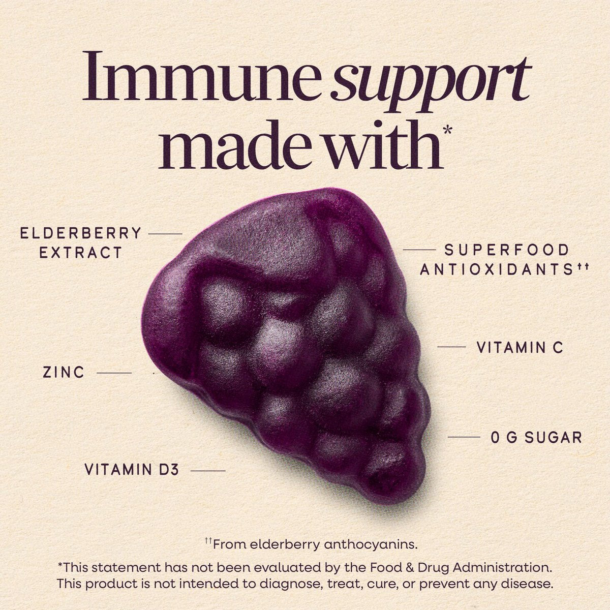 Nature's Way Sambucus Zero Sugar Immune Gummies – Tägliche Immununterstützung mit Holunderextrakt, Vitamin C, Vitamin D3, Zink – Zuckerfrei, ohne Zuckeralkohole – 70 Gummis